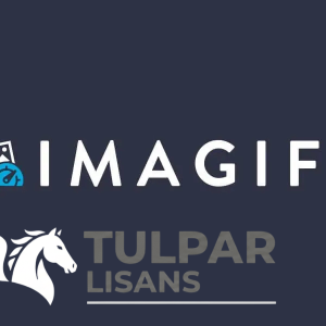 Imagify Pro - Orijinal WordPress Eklentisi