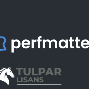 PerfMatters Pro - Orijinal WordPress Eklentisi