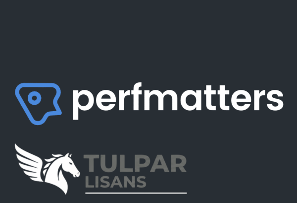 PerfMatters Pro - Orijinal WordPress Eklentisi