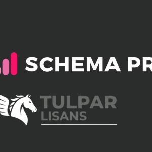 Schema Pro - Orijinal WordPress Eklentisi