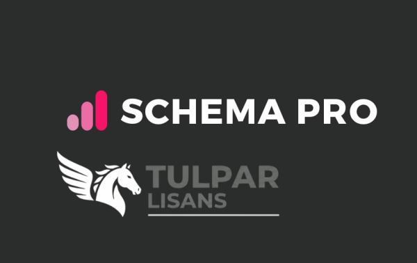 Schema Pro - Orijinal WordPress Eklentisi Schema Pro - Orijinal WordPress Eklentisi