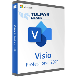 Visio Professional 2021 - Tulpar Lisans