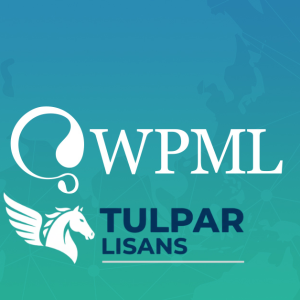 WPML (WordPress Multilingual) - Orijinal WordPress Eklentisi