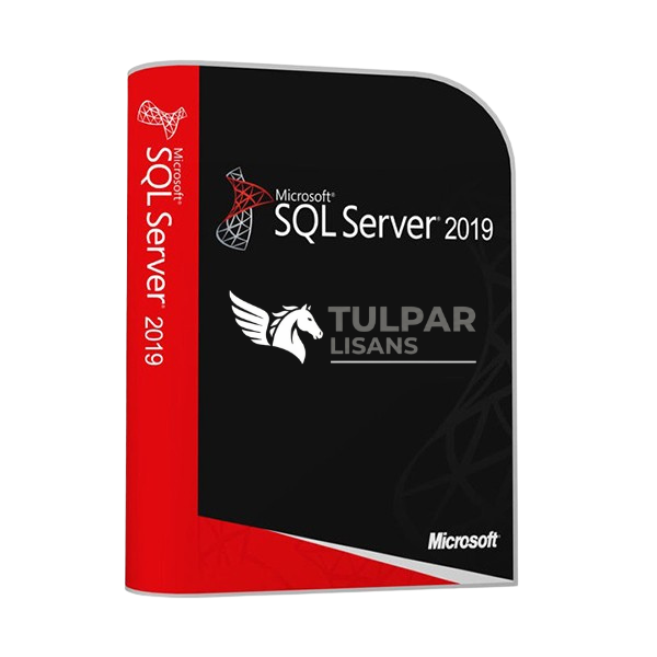 Microsoft SQL Server 2019 Standard Microsoft SQL Server 2019 Standard