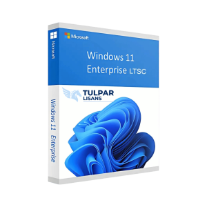 Windows 11 Enterprise LTSC 2024