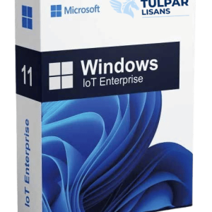 Windows 11 IoT Enterprise
