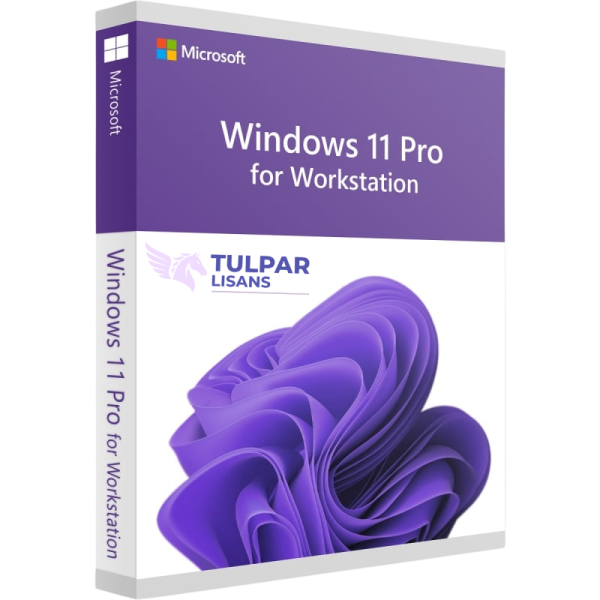 Windows 11 Pro for Workstation