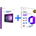 Windows 10 Pro + Office 2024 Pro Plus LTSC